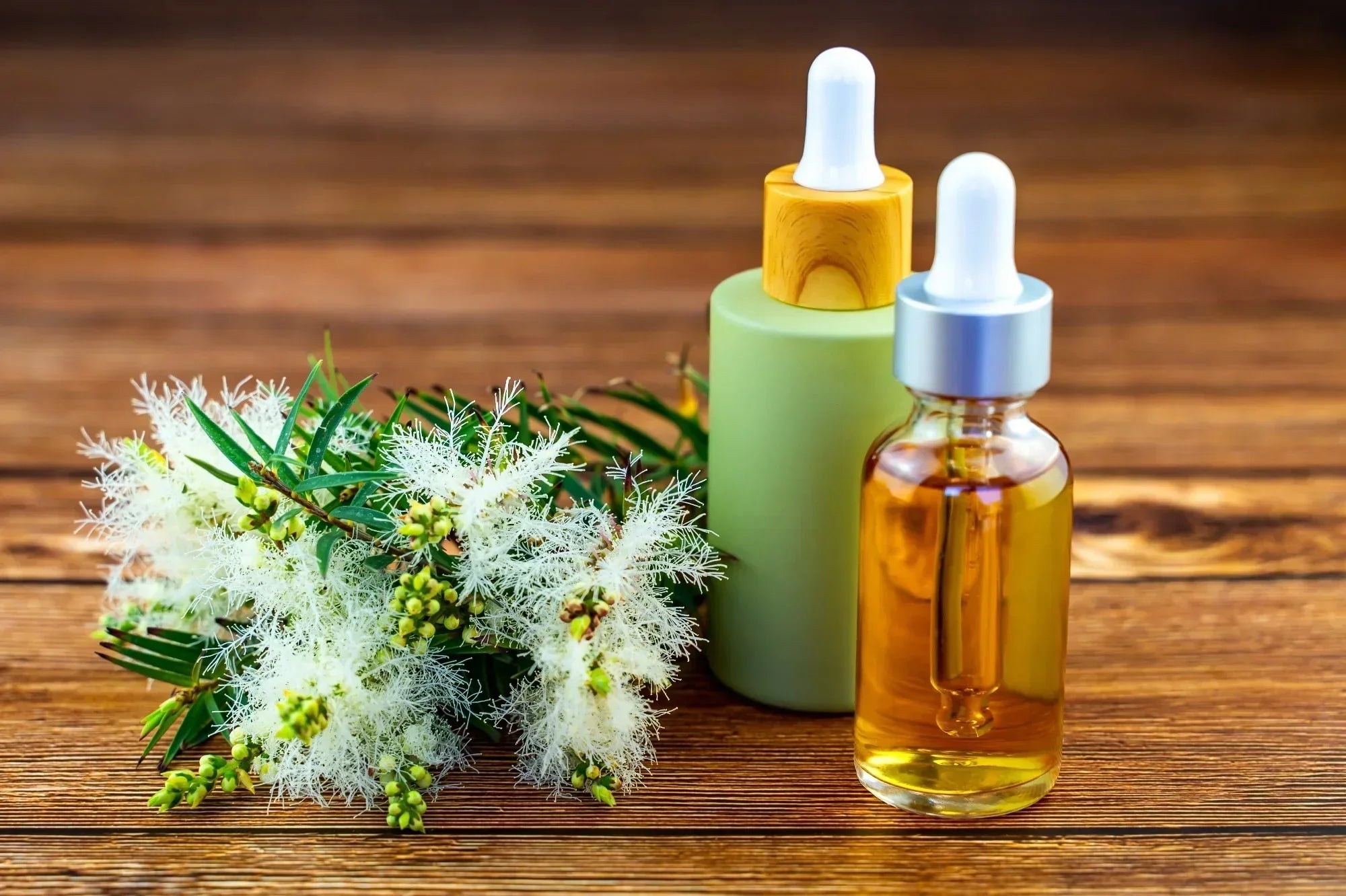 Tea Tree Oil for Acne: Benefits and Risks You Must Know